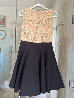 Sleeveless Lace Bodice Mini Dress in Blush and Black